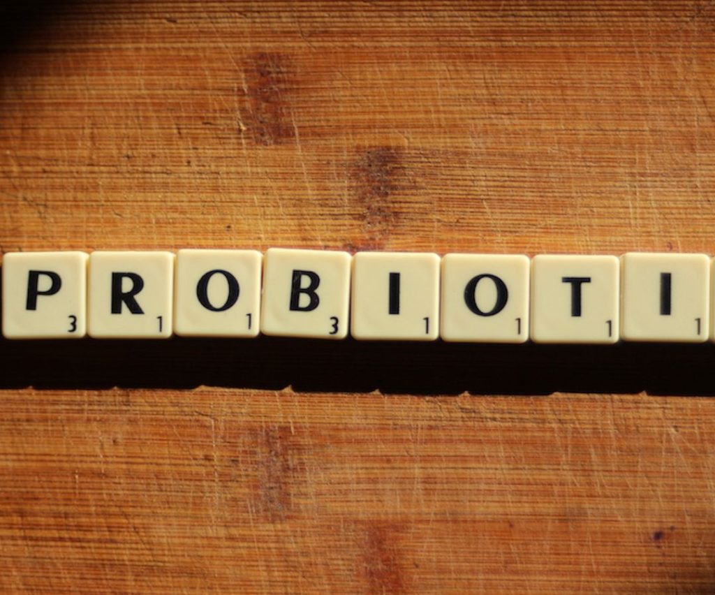 מה זה פרוביוטיקה