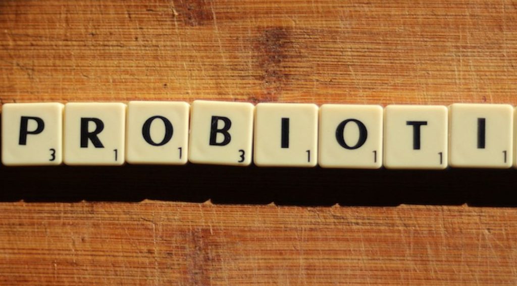 מה זה פרוביוטיקה